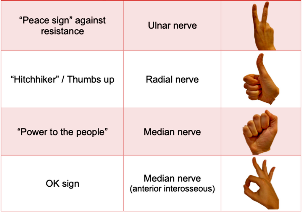 Ortho Case Of The Week Wrist Answers Em Ninja